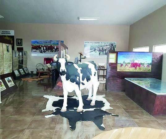 Expondrán monturas en el Museo de Ganadería