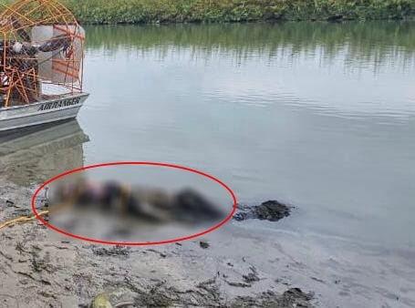 Encuentran cuerpos de ADULTO Y MENOR amarrados juntos en el río Bravo