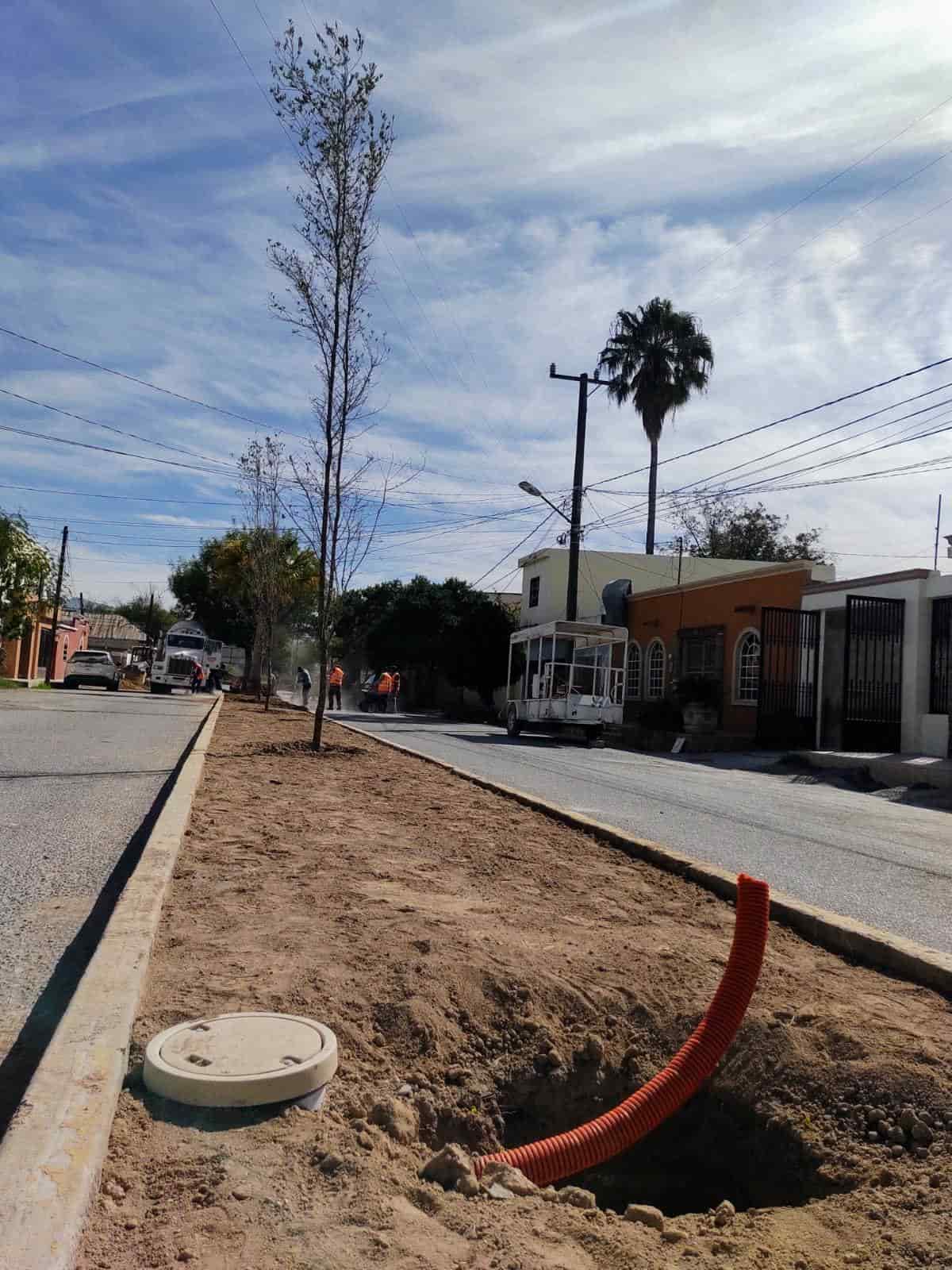 Colocan concreto a camellón