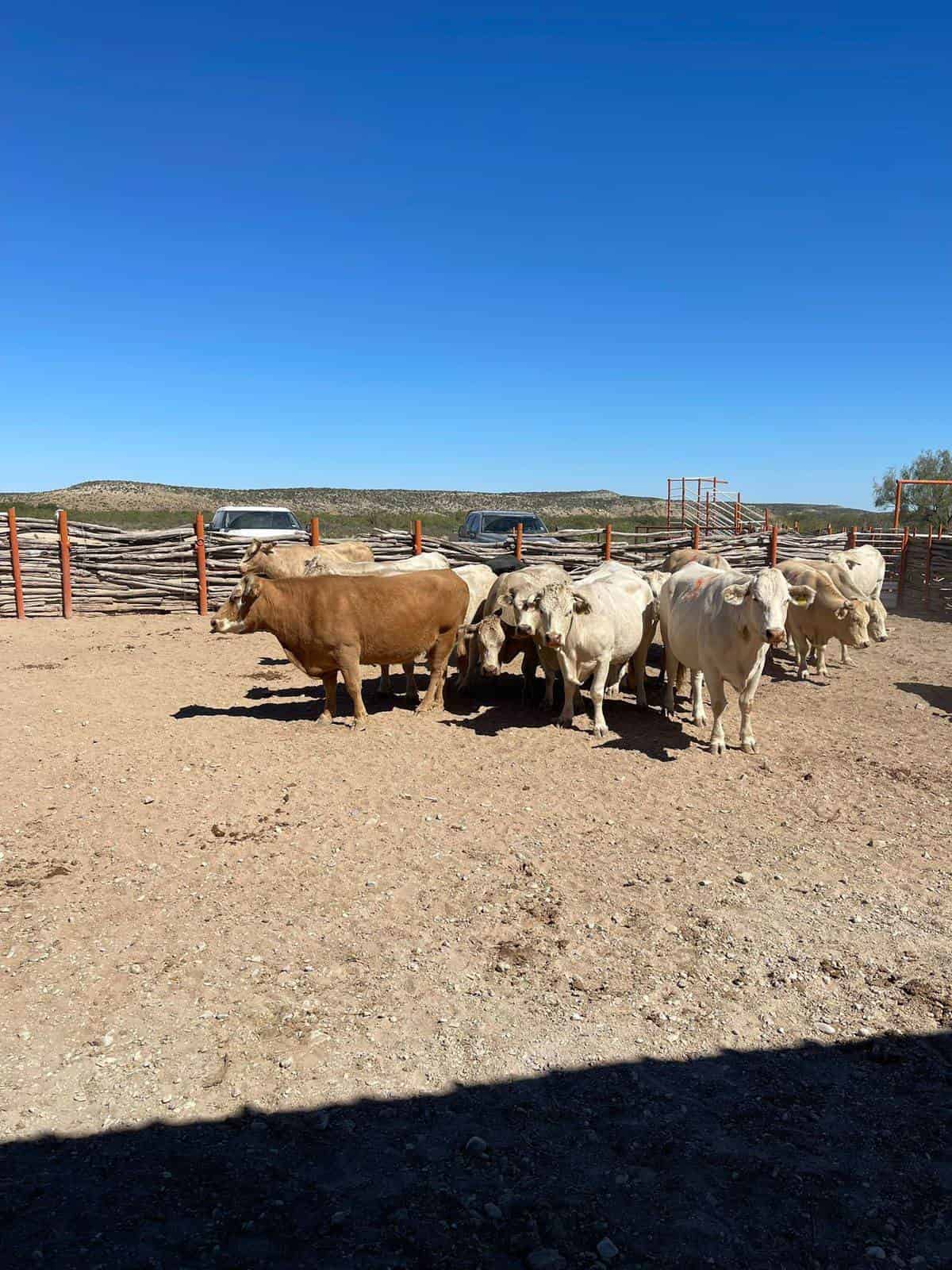 Falta apoyo para el campo