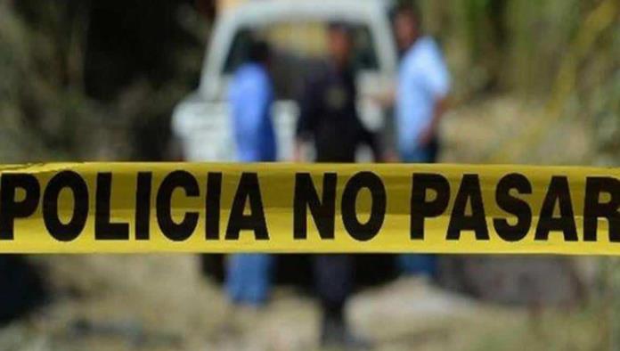 Horror en Veracruz; Perros devoraban los restos de un menor de edad