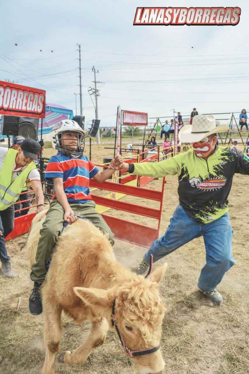 Realizarán festival “Lanas y Borregos”