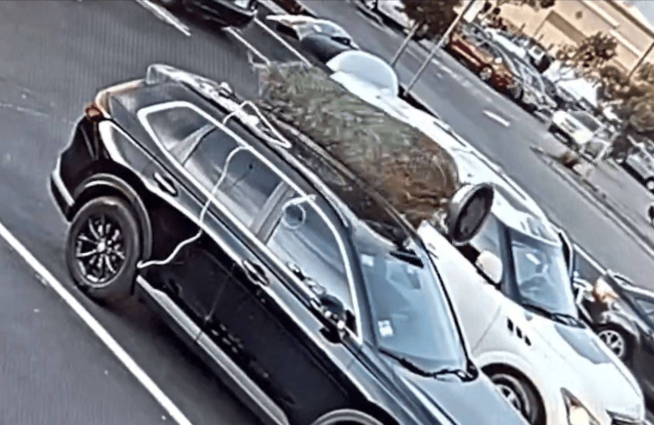 Captan a un Grinch robandose un árbol de navidad de un auto en California