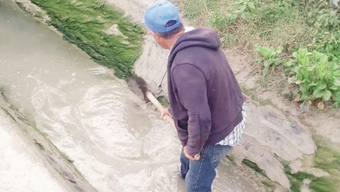 Limpian canal de Saca de Bucareli