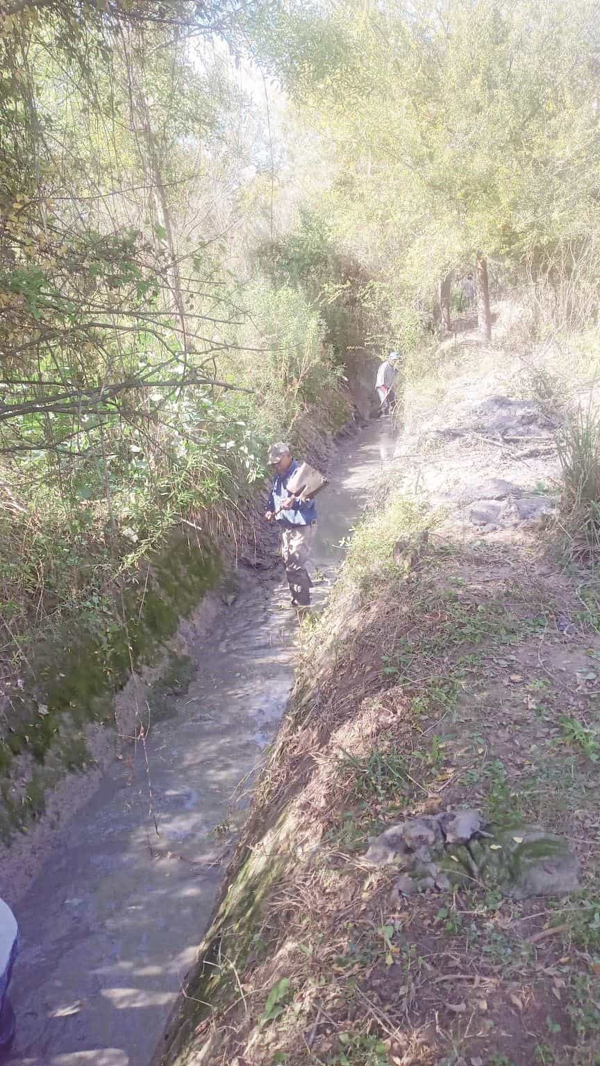 Limpian canal de Saca de Bucareli