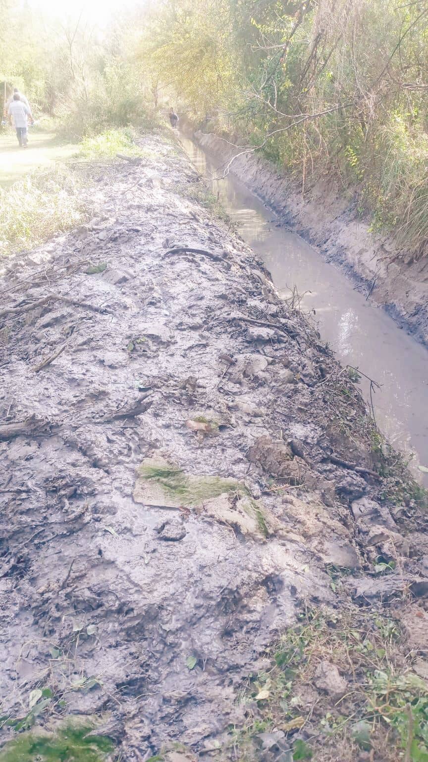 Limpian canal de Saca de Bucareli