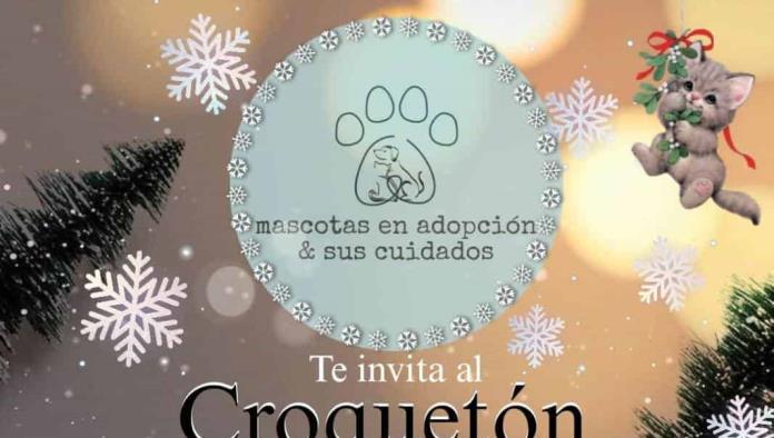 ¡CROQUETÓN! Familia Perruna busca la ayuda para cuidar a los animales de la calle