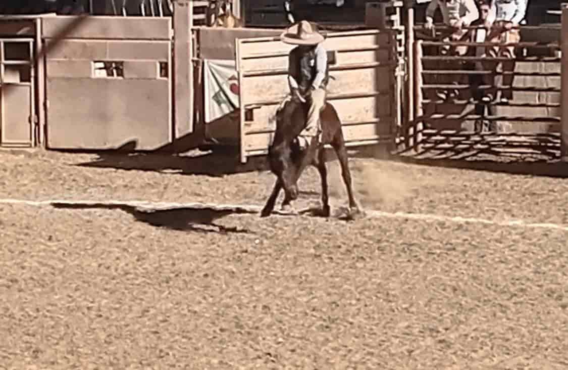 Luce Wicho Cantú, en Campeonato Charro