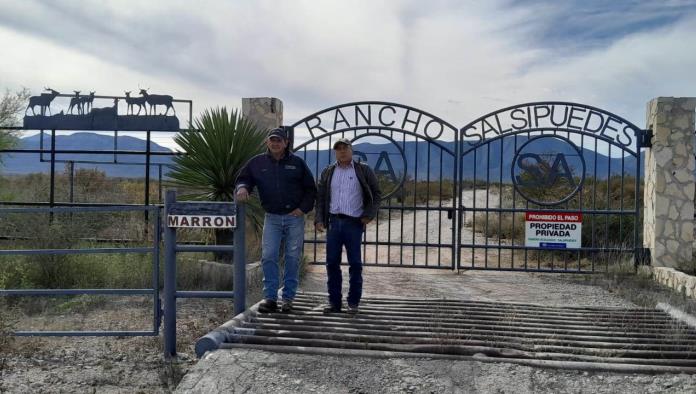 Liberan a osa capturada en la Hipódromo en un terreno de Alonso Ancira