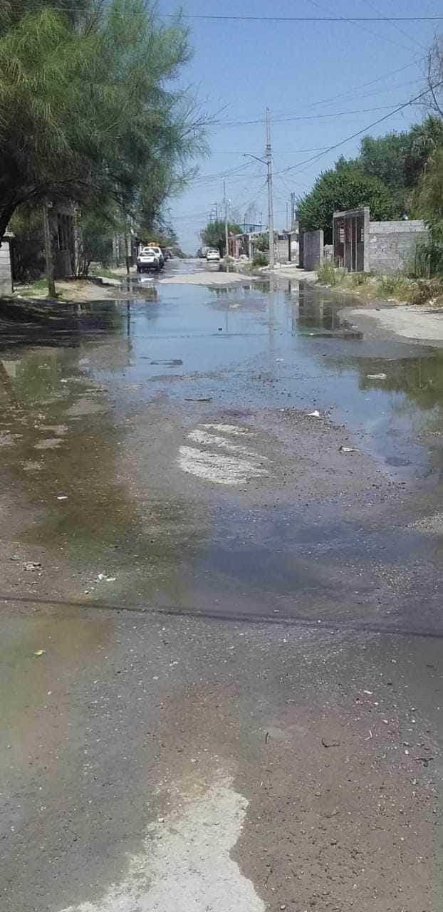 Vecinos de la Ampliación Hipódromo denuncian fugas de aguas negras.