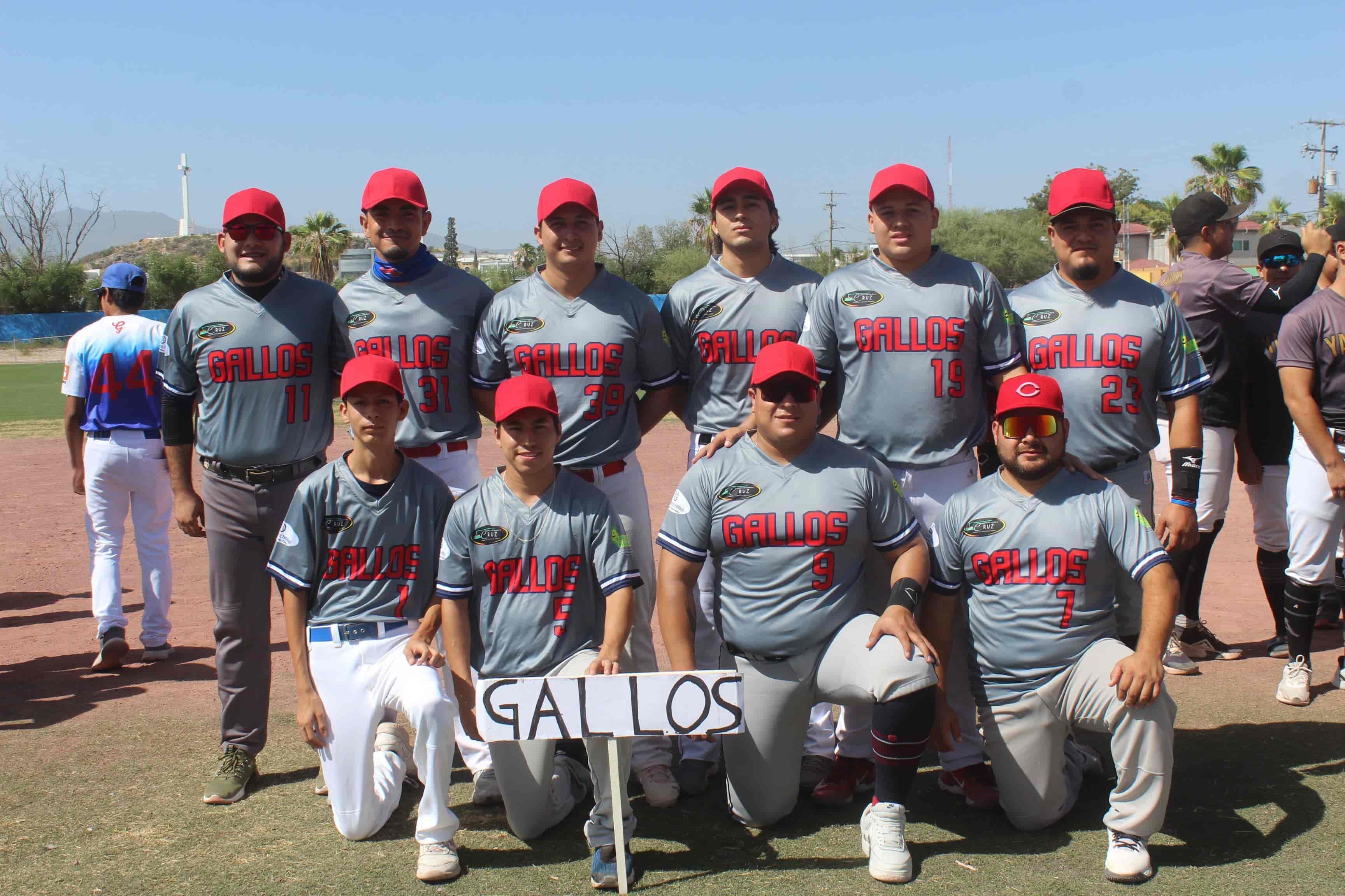 Gallos de Alejo Peña aplicó la escoba con Venados.