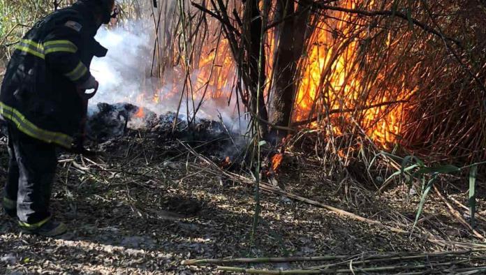 Moviliza a Bomberos incendio de pastizal