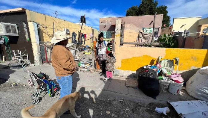 Ratas gigantes en la colonia Oasis