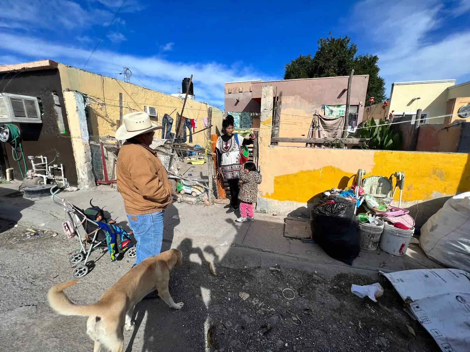 Ratas gigantes en la colonia Oasis