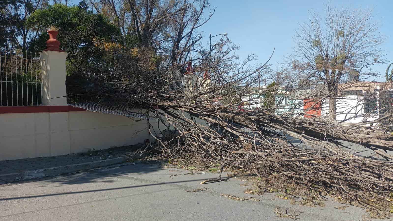 Caos en la Sureste por frente frío 25