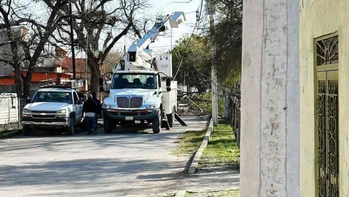 ¡LOS DEJAN SIN LUZ! Caen árboles por fuertes vientos y causan destrozos en Zaragoza