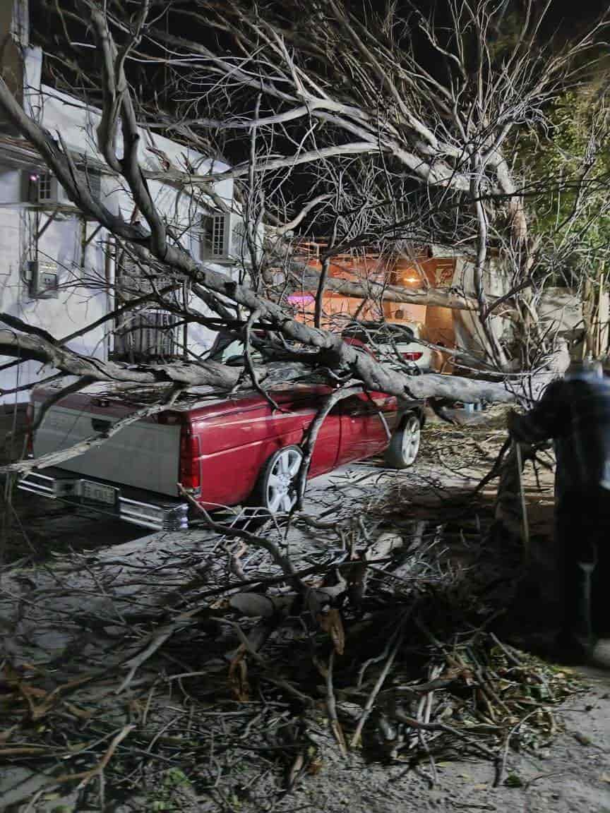 Árboles , cables y espectaculares caídos han sido los daños por los fuertes vientos