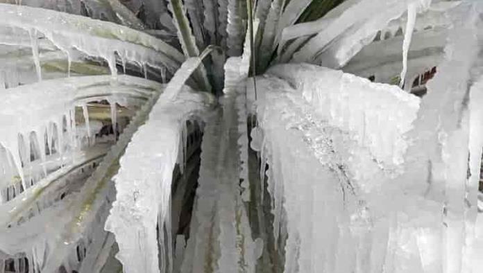 Bajo el hielo La Encantada