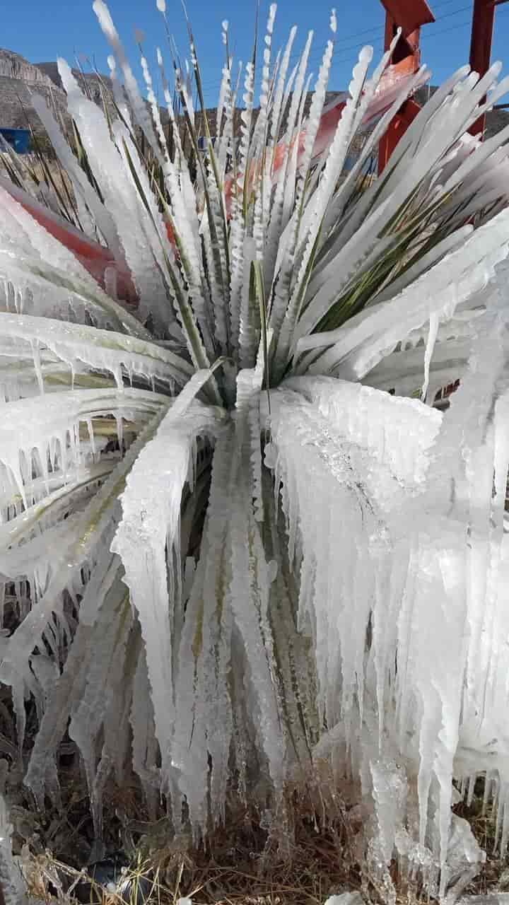 Bajo el hielo La Encantada