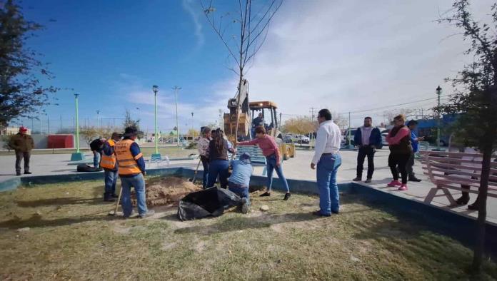 Sembrará Frontera 2 mil 500 árboles