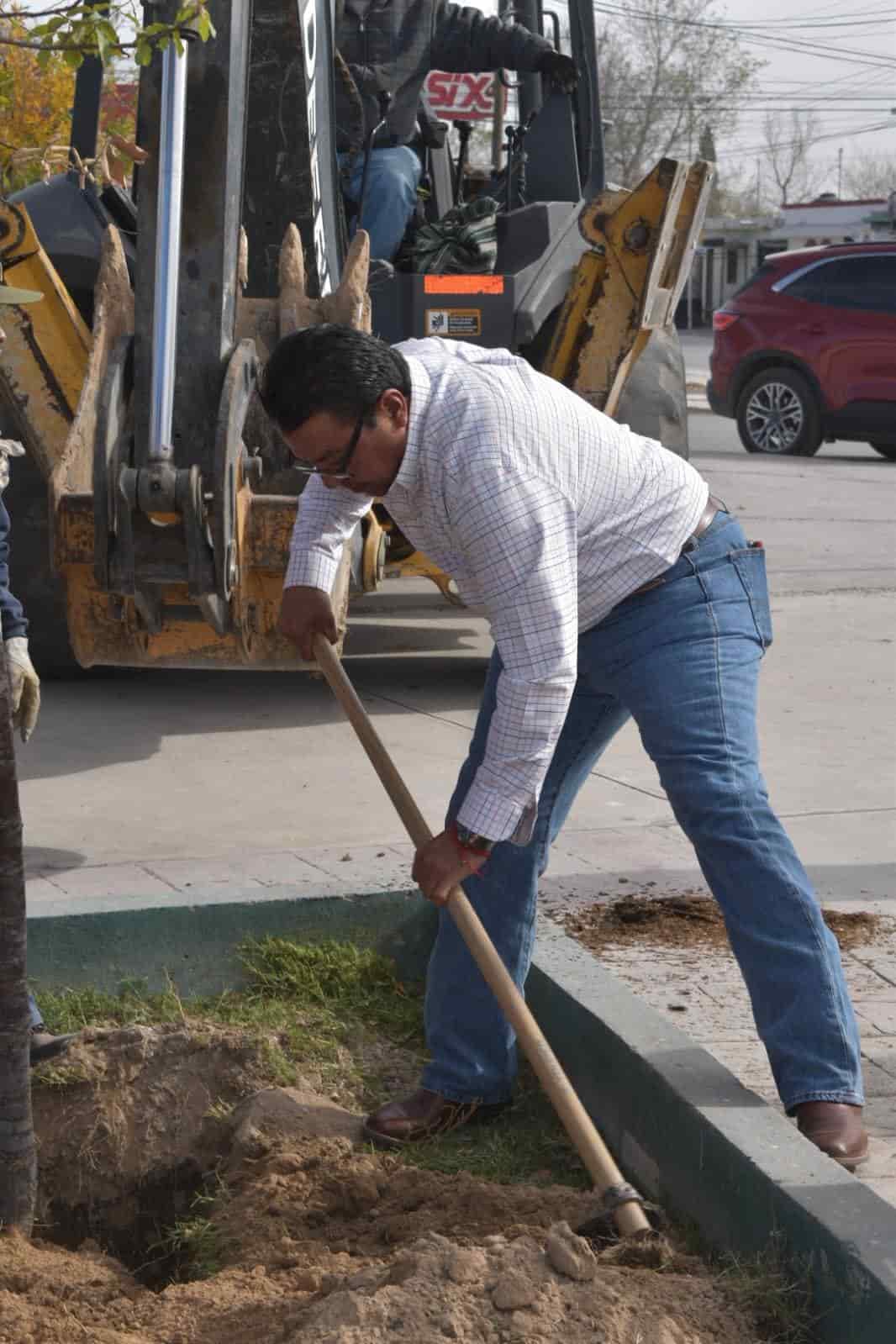 Sembrará Frontera 2 mil 500 árboles