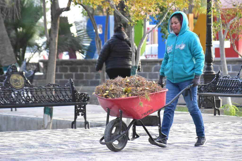 Dan mantenimiento a plaza principal