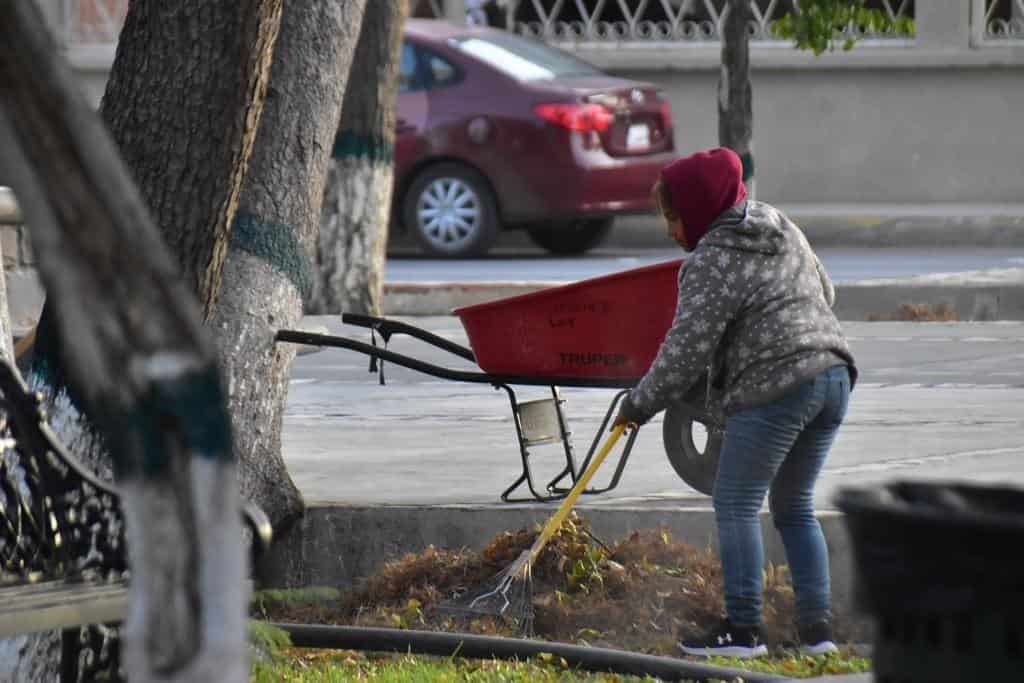 Dan mantenimiento a plaza principal