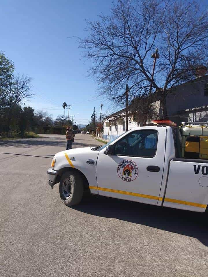 Colapsaron árboles con fuertes vientos