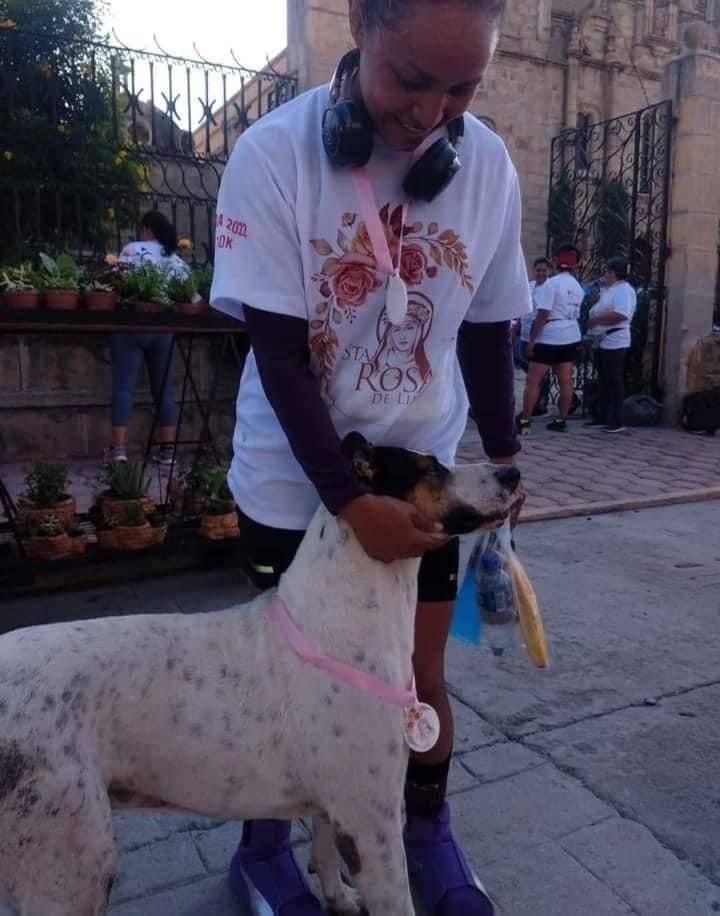 Envenenan “can” de Hedna la boxeadora