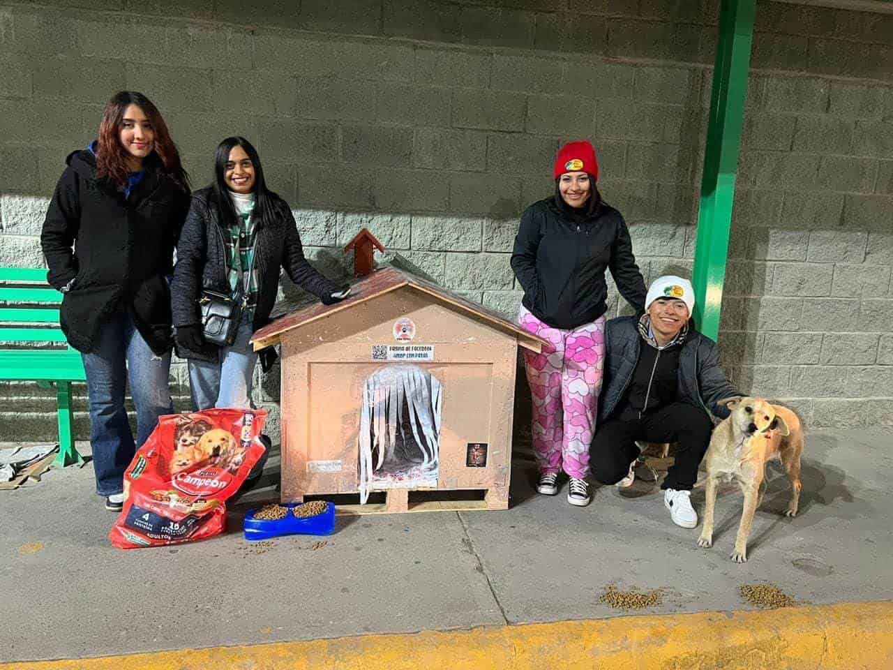 Protegen a mascotas de bajas temperaturas