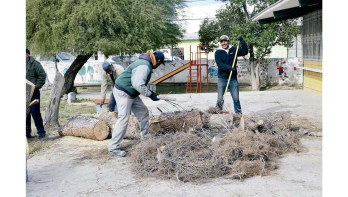 Atienden más de 60 talas de árboles