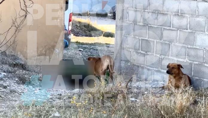 Fallece Don Benito, el señor de los perritos debido a las bajas temperaturas