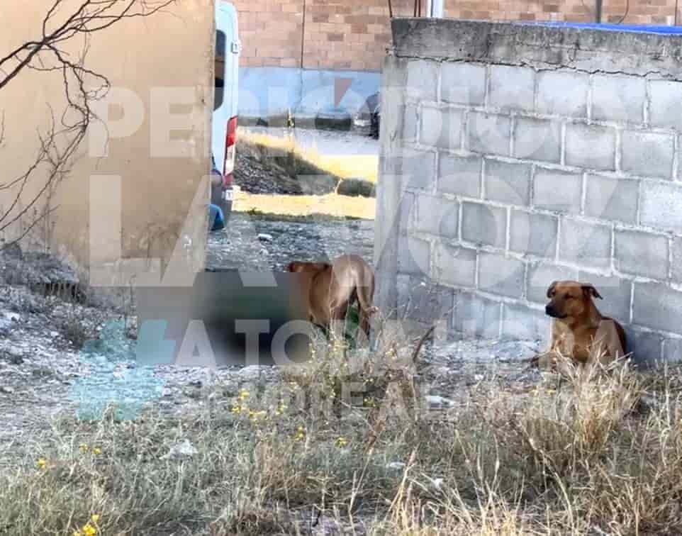 Fallece Don Benito, el señor de los perritos debido a las bajas temperaturas