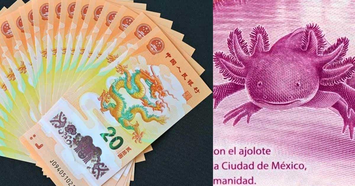 Llega competencia para el ajolote; China lanza nuevos billetes por el año del dragón
