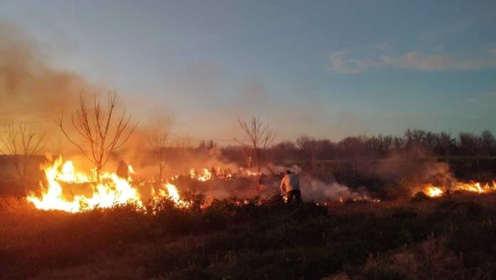 Deja incendio daños ecológicos en el Ejido El Rubio