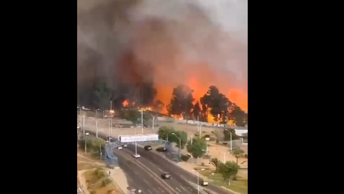 Incendios en Chile cobran la vida a 131 personas