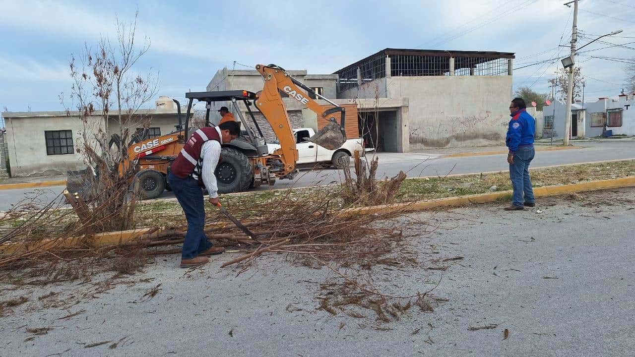 Rehabilitan camellón de la Colosio