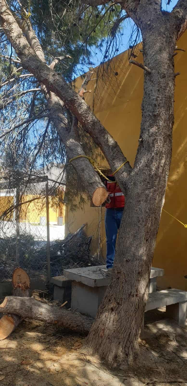 Cuatro Ciénegas atiende gestiones de escuelas