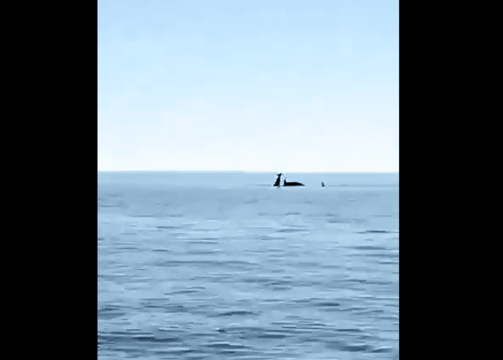 Captura de pantalla