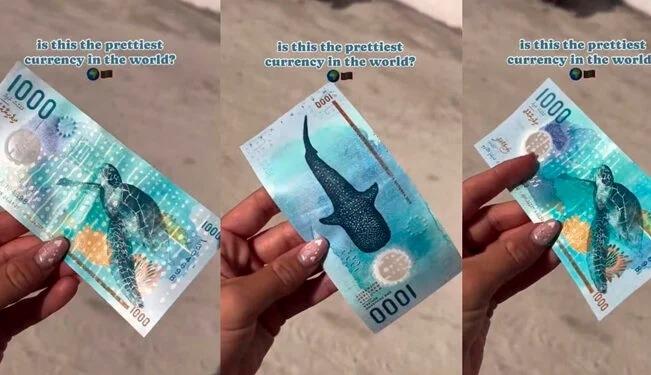 ¿El Ajolotito tiene competencia? Billete de Maldivas es supuestamente el más bonito