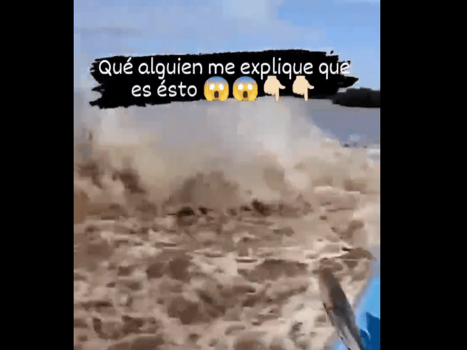 Enorme animal acuático ataca kayak en el río amazonas