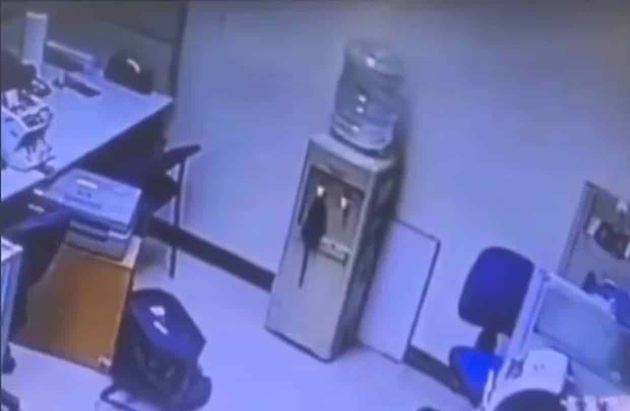 Esta curiosa situación ha capturado la atención de los usuarios | Captura de video