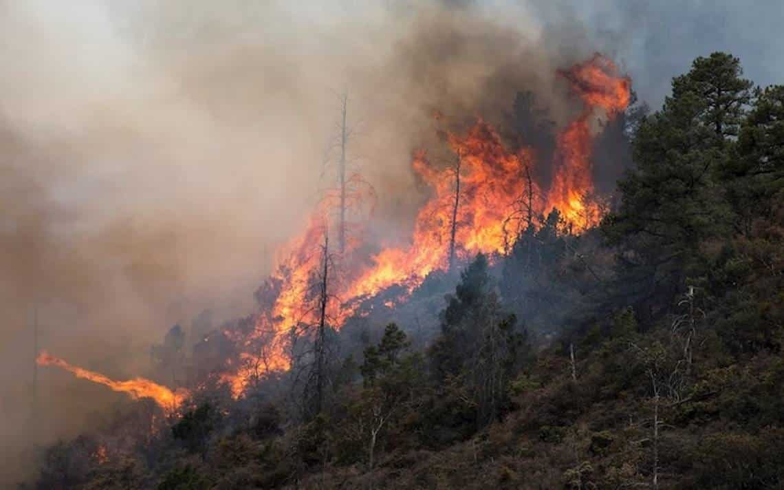 Prevén año crítico en incendios forestales
