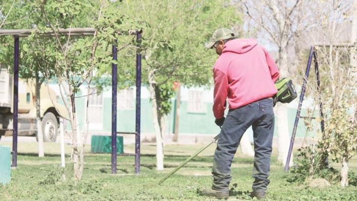 Limpia en Ciénegas las áreas verdes Limpia en Ciénegas las áreas verdes