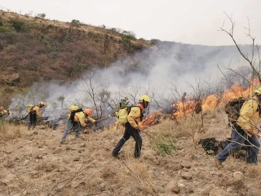 Julio Ríos Cortes, director de Protección Civil y Bomberos, informó que están preparados para colaborar con la CONAFOR, y de manera preventiva están
