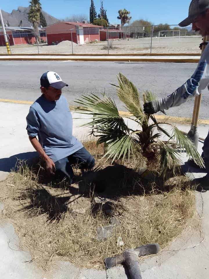  Embellecen  las áreas  públicas