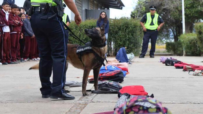 Realizan Operativo Mochila 
