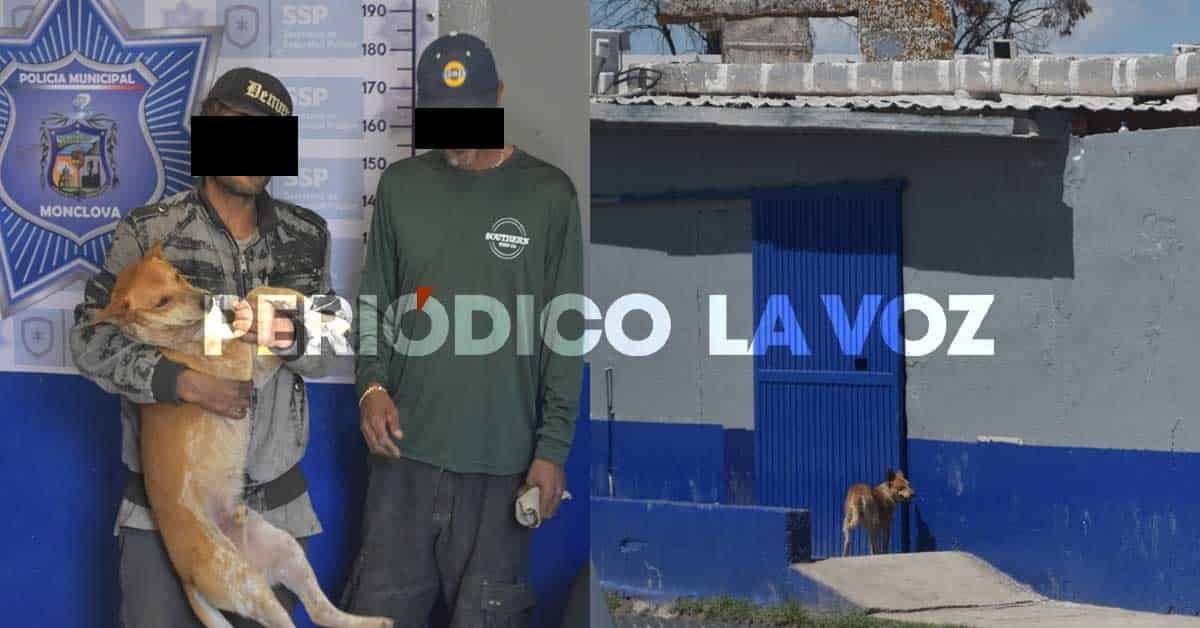 ¡‘Hachiko’ monclovense!; En la cama y en la cárcel se conocen los amigos