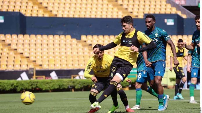 Vence Tigres en amistoso al York United 