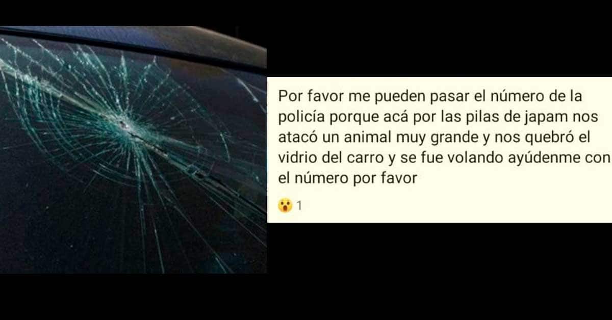 Ataca animal volador a familia en Múzquiz